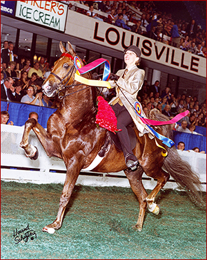 CH Callaway’s Born To Win