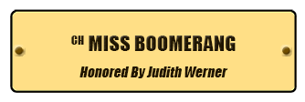 CH Miss Boomerang