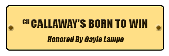 CH Born To Win