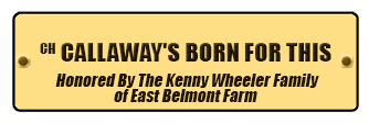 CH CALLAWAY'S BORN FOR THIS