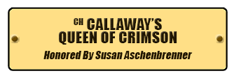 CH Callaways Queen of Crimson