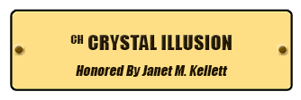   CH CRYSTAL ILLUSION