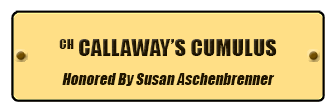 CH Callaway's Cumulus