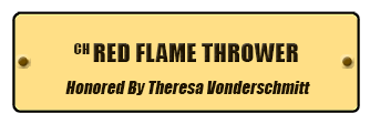 CH Red Flame Thrower