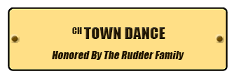 Town Dance