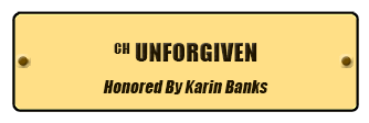 CH Unforgiven