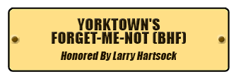 Yorktown's Forget-Me-Not (BHF)