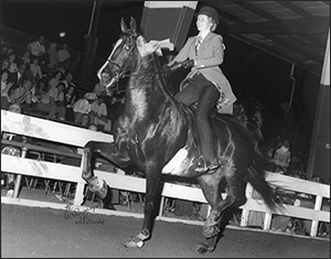 CH Walnut Win's American Liberty